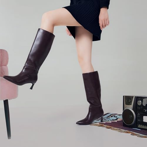 Knee High Boots Women Low Kitten Heel Long Tall Boots with Pointed Toe Winter Fall Sexy Fashion Comfortable Dress Shoes