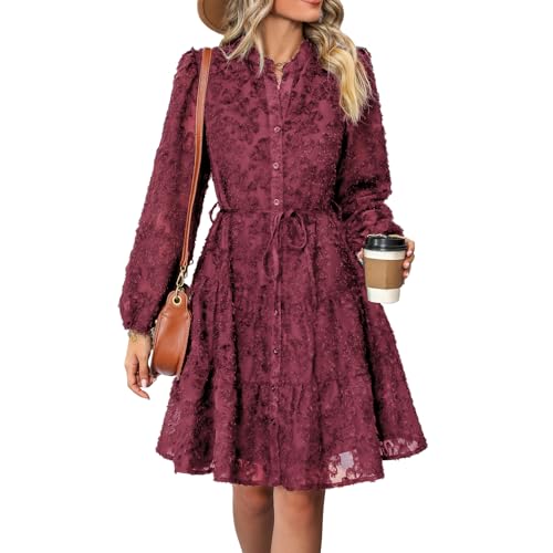 Womens Long Sleeve Fall Dresses 2024 Button Up Empire Waist with Belt A-Line Mini Dress Casual Fall Winter Dress