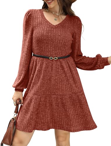 Womens V Neck Long Sleeve Fall Dresses Baby Doll Casual Sweater Dress Fashion Clothes