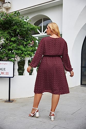 Women's Plus Size Swiss Dot Long Sleeve Chiffon Dress Flowy High Waist A Line Ruffle Babydoll Midi Dresses 16W-24W