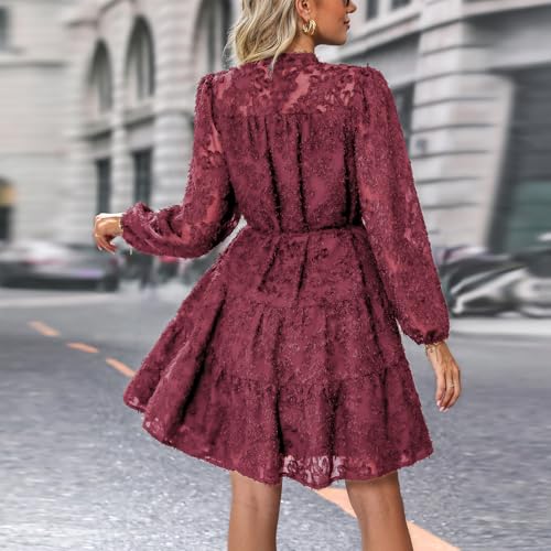 Womens Long Sleeve Fall Dresses 2024 Button Up Empire Waist with Belt A-Line Mini Dress Casual Fall Winter Dress